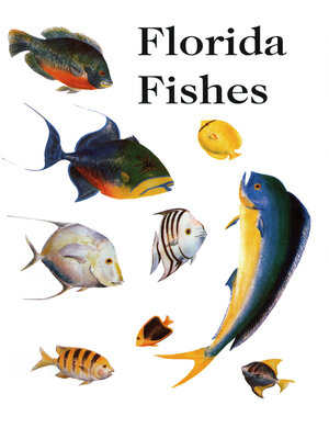 cover image of Saltwater Florida Fishes